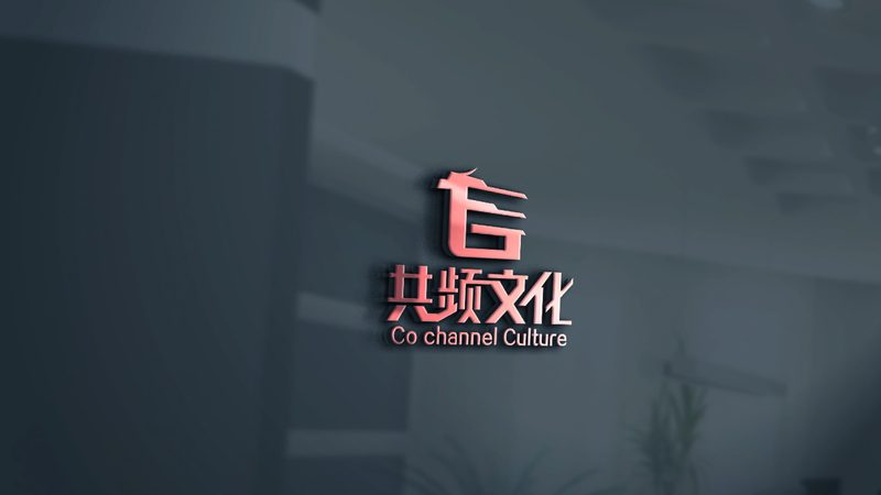 专业团队优势：**