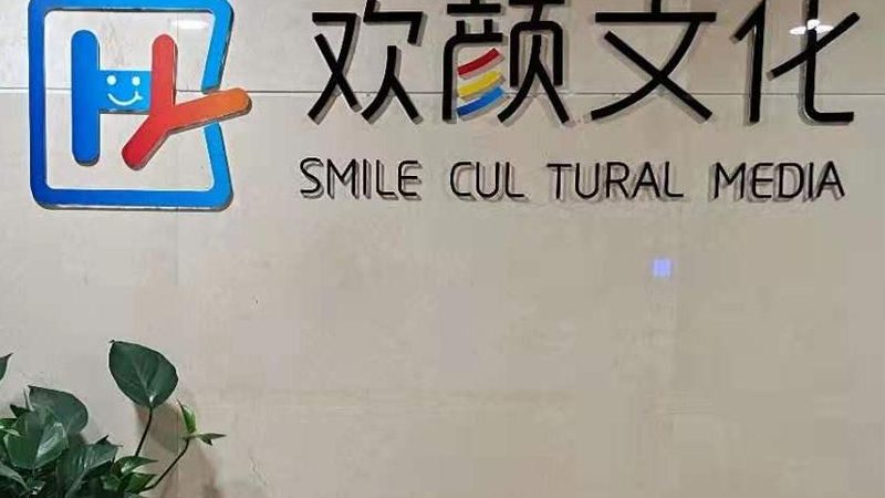 企业VI设计流程，从策略到落地的七个关键节点